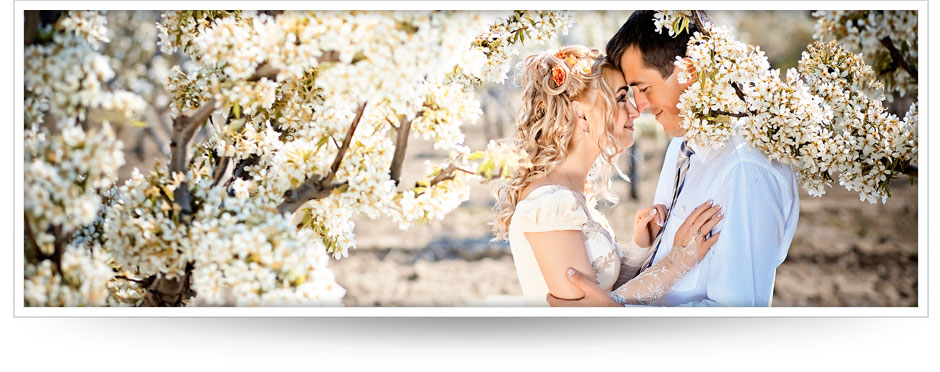 New Website Launched - Celebrate!